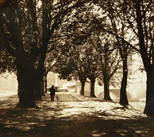 Silhouettes Prints: Summer lunchtime. Creator: John Johnson
