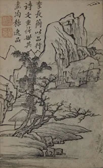 Zhou Shen Prints: Summer and Paulownia Tree (A Page from the Jie Zi Yuan). Creator: Unknown