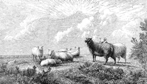 Pearson Prints: Summer, by T. W. Keyl, in the exhibition of the British Institution