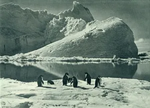Penguin Prints: Summer Time - The Ice Opening Up, c1910-1913, (1913). Artist: Herbert Ponting