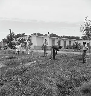 Bungalow Prints: Sunday morning on the Baxter part-time farms project
