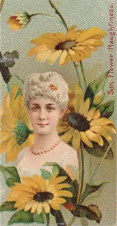 Sunflower Prints: Sunflower: Haughtiness, from the series Floral Beauties and Language of Flowers (N75