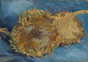 Gogh Collection: Sunflowers, 1887. Creator: Vincent van Gogh