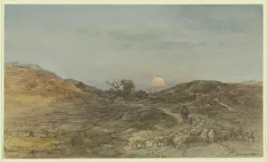 Coal Prints: Sunken way with a flock of sheep at sunset, 1881. Creator: Anton Burger