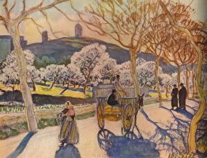 Almond Tree Gallery: Sunlight and Almond Blossom, Ibiza, 1936. Creator: Kitty Clausen