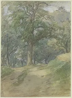 Sunny Prints: Sunny forest path, 1862. Creator: Jakob Dielmann