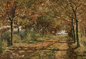 Treelined Prints: Sunny Lane, c1880-1910. Creator: Frans Simons