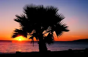 Last Sunset. Creator: Robert Manno