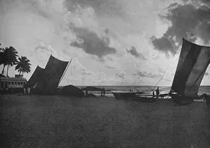 Alfred William Amandus Prints: Sunset, Mount Lavinia Sea Shore, c1890, (1910). Artist: Alfred William Amandus Plate