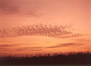 Sunset near Tonbridge, c1955. Creator: Arthur Charles Kirby Ware