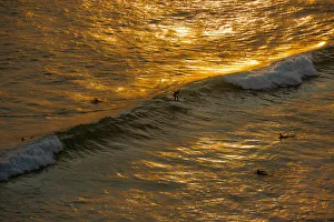 ART Collection: Sunset Surfing. Creator: Viet Chu