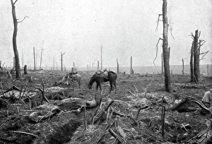 Devestation Prints: Sur le rerrain de l'avance Francaise au sud de la Somme; dans le Bois Hache