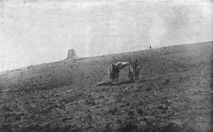 Stretcher Prints: Sur les champs de bataille Macedoniens de Gornitchevo et du Kaimaktchalan; La releve