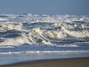 Movement Gallery: Surfs Up. Creator: Eve Turek