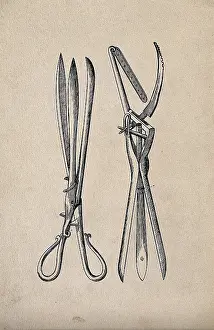 Forceps Prints: Surgical instrument. Creator: Unknown