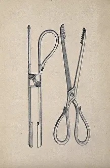 Scissors Prints: Surgical instruments. Creator: Unknown
