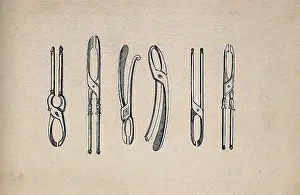 Forceps Prints: Surgical instruments. Creator: Unknown