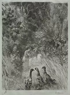 The Surprised Ducks. Creator: Felix Bracquemond (French, 1833-1914)