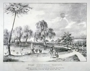 Duck Pond Prints: Surrey Zoological Gardens, Southwark, London, 1836. Artist: F Alvey