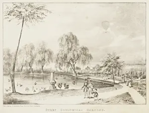 Scrap Book Prints: Surry Zoological Gardens, 1836. Creator: Unknown