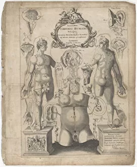 A Survey of the Microcosme or the Anatomie of the Bodies of Man and Woman wherein the Skin... 1675