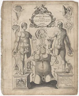 A Survey of the Microcosme or the Anatomie of the Bodies of Man and Woman wherein the Skin... 1675. Creator: Johann Remmelin