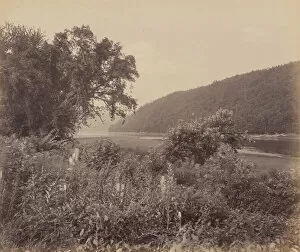 Images Dated 8th April 2021: The Susquehanna At Wyalusing, c. 1895. Creator: William H Rau