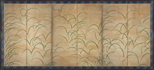 Susuki Grass, c. 1525. Creator: Unknown