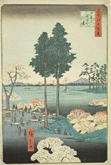 Bluff Prints: Suwa Bluff at Nippori (Nippori Suwanodai)