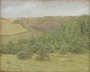 Nature Reserve Prints: Svanninge Hills, Funen, 1898. Creator: Karl Schou