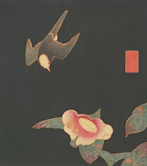 Woodblock Gallery: Swallow and Camellia, ca. 1900. Creator: Ito Jakuchu