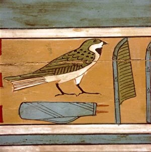 Al Minya Gallery: Swallow detail, Egyptian hieroglyphic on inner wall of coffin, c2000 BC