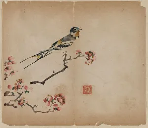 1368 1644 Prints: Swallow on Flowering Peach Branch, 1368-1644. Creator: Unknown