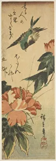Hibiscus Prints: Swallow and hibiscus, c. 1830s. Creator: Ando Hiroshige