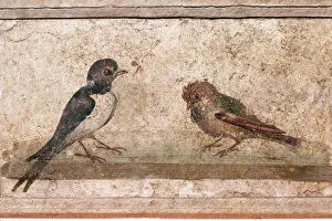 Face To Face Prints: Swallow and Sparrow, Roman wall painting from Boscoreale near Pompeii, 1st century