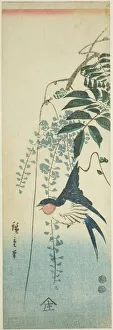 Swallow and wisteria, c. 1847/52. Creator: Ando Hiroshige