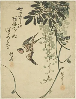 Swallow Prints: Swallow and wisteria, n. d. Creator: Ando Hiroshige