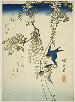Swallow Prints: Swallow, yellow bird, and wisteria, 1830s-1840s. Creator: Ando Hiroshige