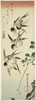 Ichiyusai Hiroshige Collection: Swallows and Cherry Blossoms, early 1830s. Creator: Ando Hiroshige