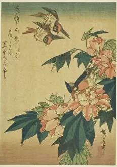 Swallows, kingfisher, and hibiscus, c. 1830s. Creator: Ando Hiroshige