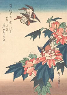 Swallows and Kingfisher with Rose Mallows, ca. 1838. ca. 1838. Creator: Ando Hiroshige