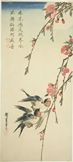 Swallows, peach blossoms, and full moon, 1830s. Creator: Ando Hiroshige