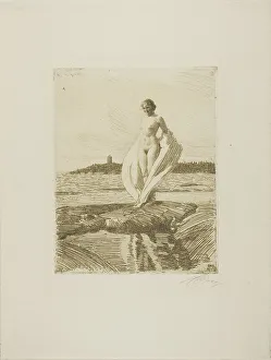 Rock Pool Prints: The Swan, 1915. Creator: Anders Leonard Zorn