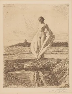 Zorn Anders Prints: The swan, 1915, Sweden. Creator: Anders Leonard Zorn