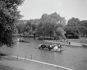 Boating Lake Prints: Swan boats, Public Gardens, Boston, Mass. between 1900 and 1906. Creator: Unknown