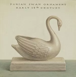 Swan Gallery: Swan, c. 1937. Creator: Cleo Lovett