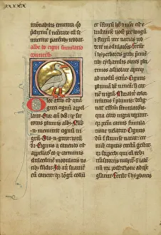 Bestiary Prints: A Swan; De Natura Avium; De Pastoribus et Ovibus, 1277 or after. Creator: Unknown