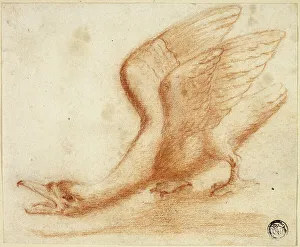 Stumping Prints: Swan, n.d. Creator: Unknown