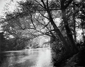 The Carolinas Prints: The Swannanoa near Kenilworth Inn, Asheville, N.C. between 1895 and 1910. Creator: Unknown