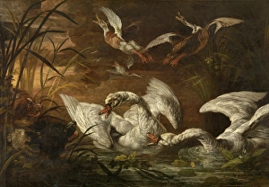 Defensive Prints: Swans and Dogs, c1640-1670. Creator: Nicasius Bernaerts